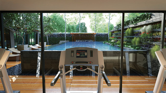 รูปภาพ ซิงค์ เนเจอร์ สยาม (Sync Nature Siam)