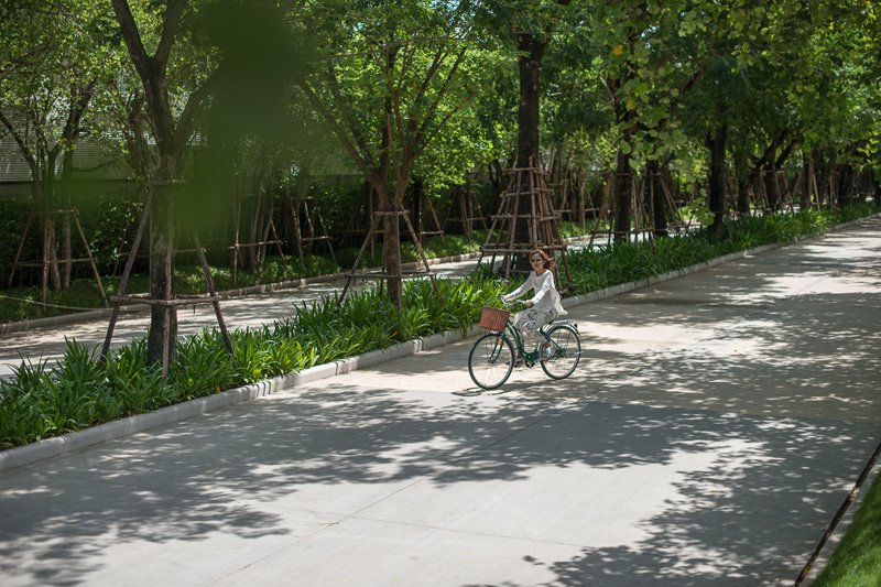 รูปภาพ คณาสิริ ชัยพฤกษ์ - วงแหวน (Kanasiri Chaiyapruek - Wongwaen)