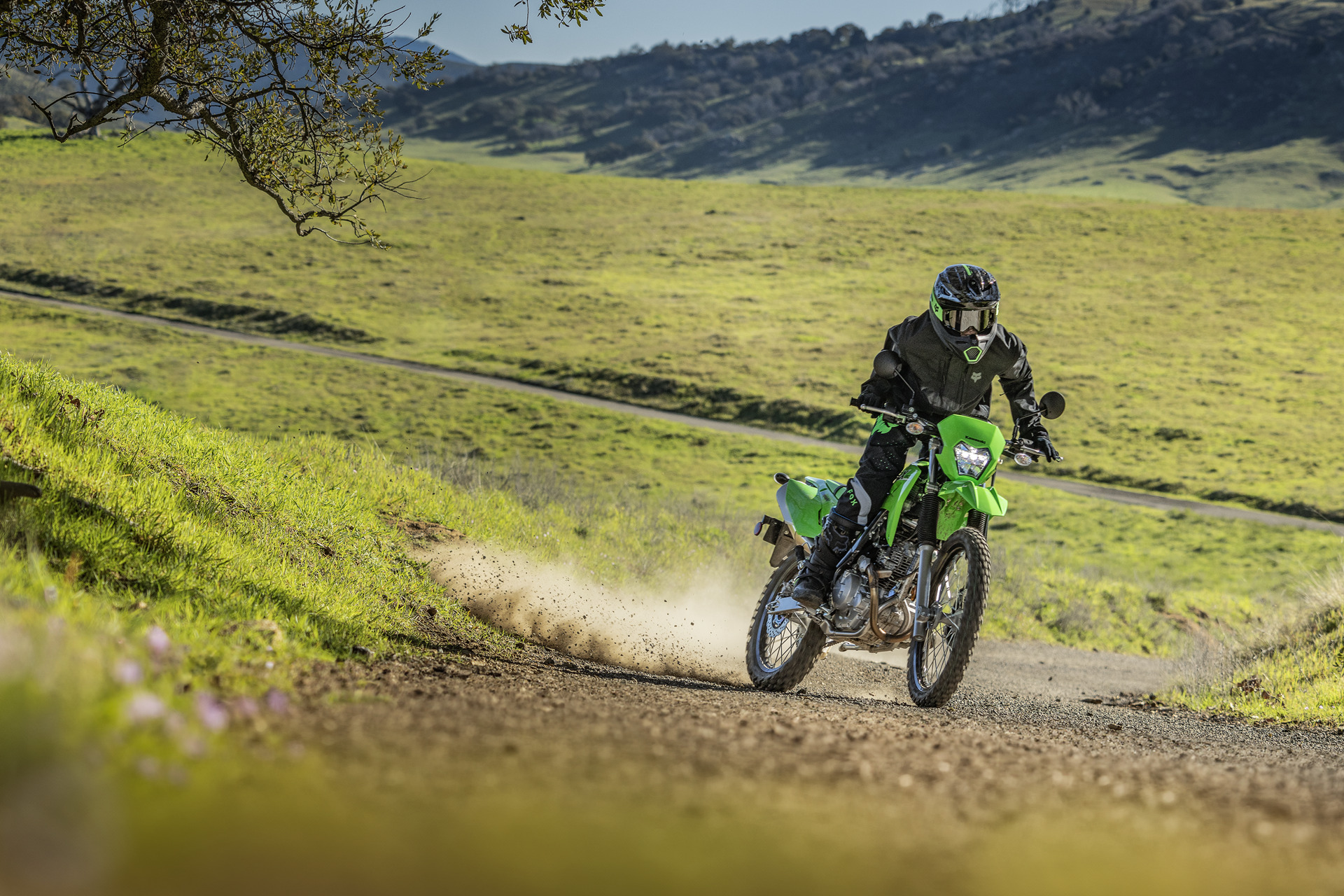 รูปภาพ คาวาซากิ Kawasaki KLX 230 ABS ปี 2025