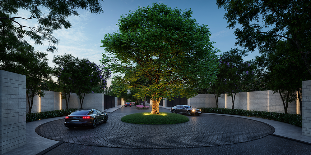 รูปภาพ โนเบิล คิวเรท (Noble Curate)