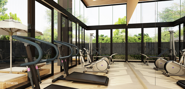 รูปภาพ ไซมิส เทอร์ตี้ ไนน์ (Siamese Thirty Nine)