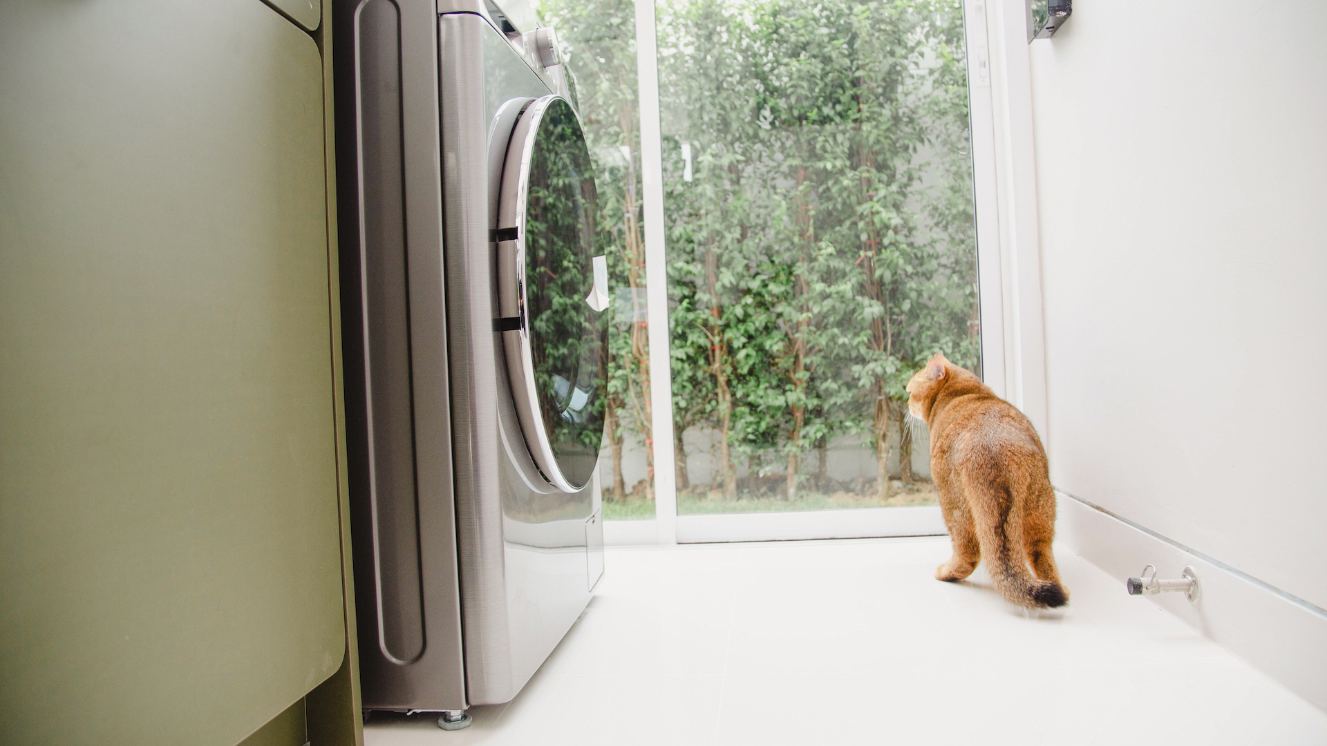 รูปภาพ ศุภาลัย วิลล์ วงแหวน-ลำลูกกา คลอง 7 (ศุภชวาล) (Supalai Ville Wongwaen-Lamlukka Klong 7)