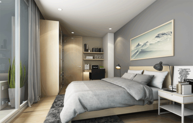 รูปภาพ ไซมิส นางลิ้นจี่ (Siamese Nang Linchee)