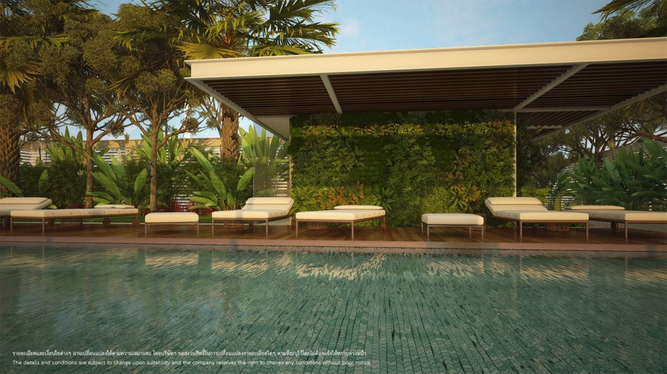 รูปภาพ ทรีท็อปส์  (Tree tops)