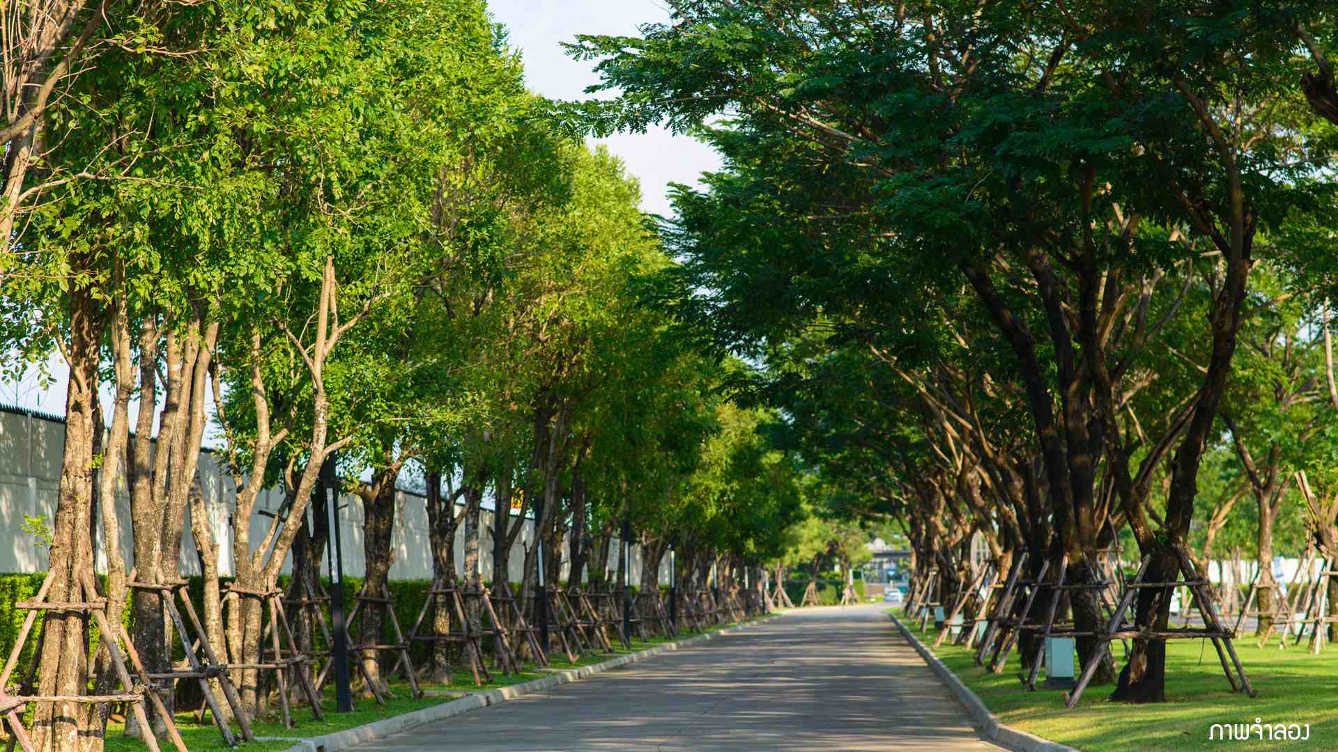 รูปภาพ มัณฑนา พรานนก สาย2 - บางแวก (Mantana Phran Nok Sai 2 - Bangwag)