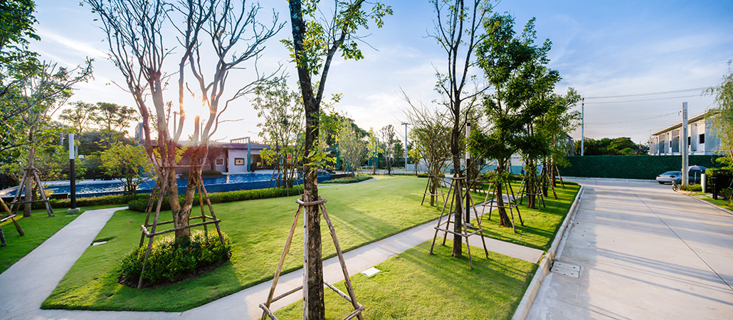 รูปภาพ สิริ เพลส ติวานนท์ (Siri Place Tiwanon)