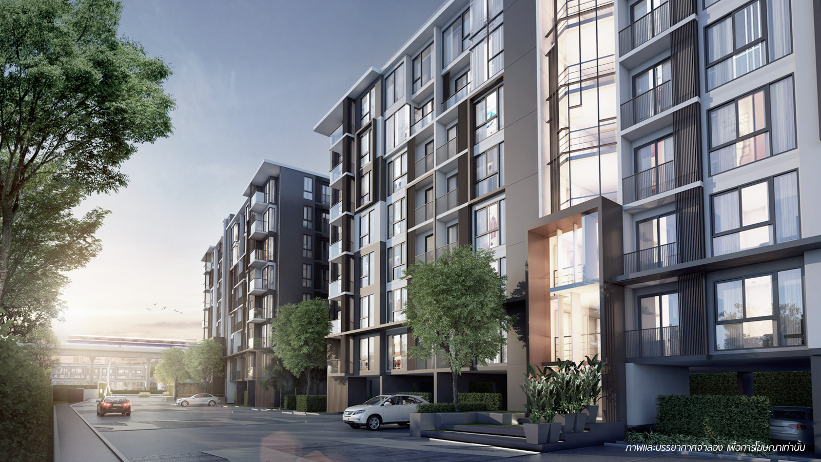 รูปภาพ เซล รัตนาธิเบศร์ (Zelle Rattanathibet)