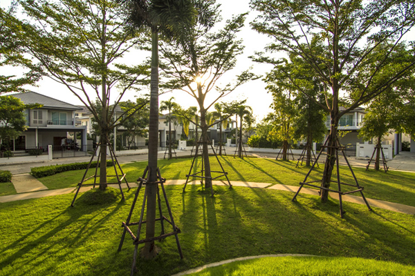 รูปภาพ พฤกษ์ลดา ประชาอุทิศ 90 (Pruklada Prachauthit 90)