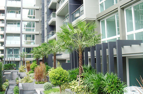 รูปภาพ เอปัส พัทยา (Apus Pattaya)