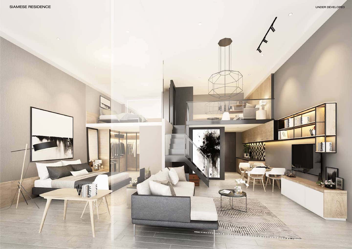 รูปภาพ ไซมิส พระราม 9 (Siamese Rama 9)