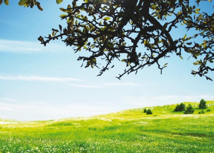 รูปภาพ บ้านเบญญาภา (Baan Benyapha)