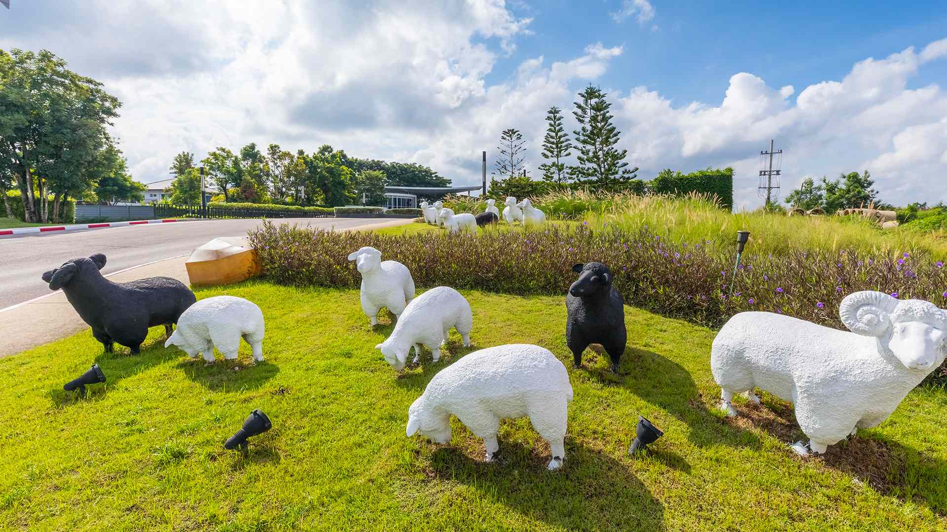 รูปภาพ อินนิซิโอ เชียงใหม่ (inizio Chiang Mai)