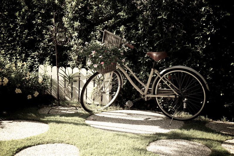 รูปภาพ บุราสิริ ปัญญาอินทรา (Burasiri Panyaindra)