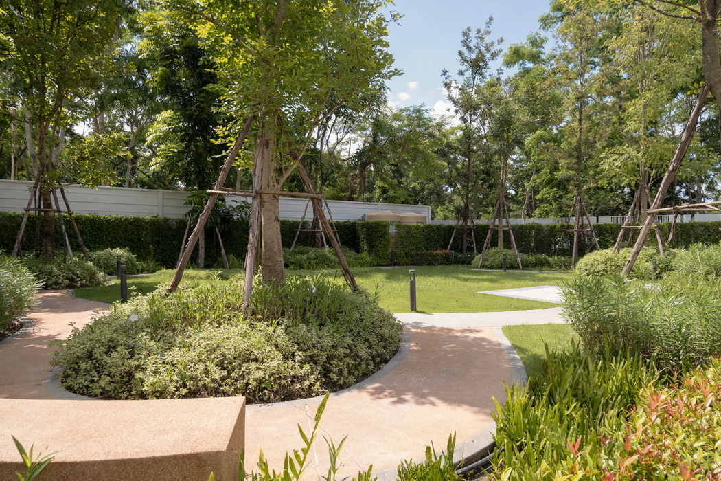 รูปภาพ โมโนทาวน์ 3 สันผีเสื้อ ( Monotown 3 San Phi Suea)