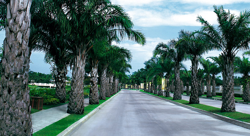 รูปภาพ นันทวัน ศรีนครินทร์ (Nanthawan Srinakarin)