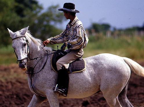 รูปภาพ วิจิตราธานี (Vichitra Thani)