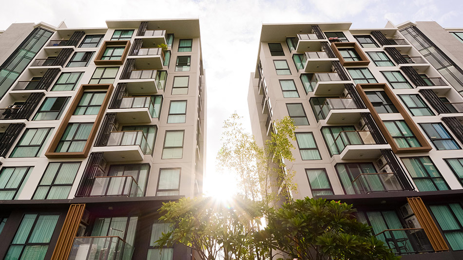 รูปภาพ เซล รัตนาธิเบศร์ (Zelle Rattanathibet)