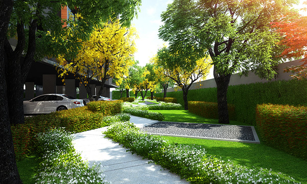 รูปภาพ ดิ เอ็กซ์เซล กรูฟ ลาซาล 52  (The Excel Groove Lasalle 52)