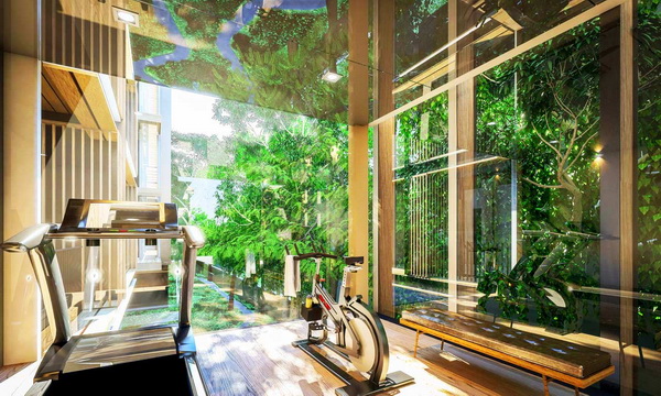 รูปภาพ ฟินน์ อารีย์ (Fynn Aree)