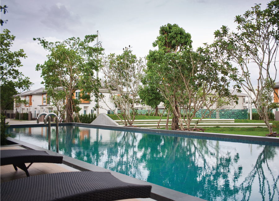 รูปภาพ เซนส์ สายไหม 56 (Sense Saimai 56)