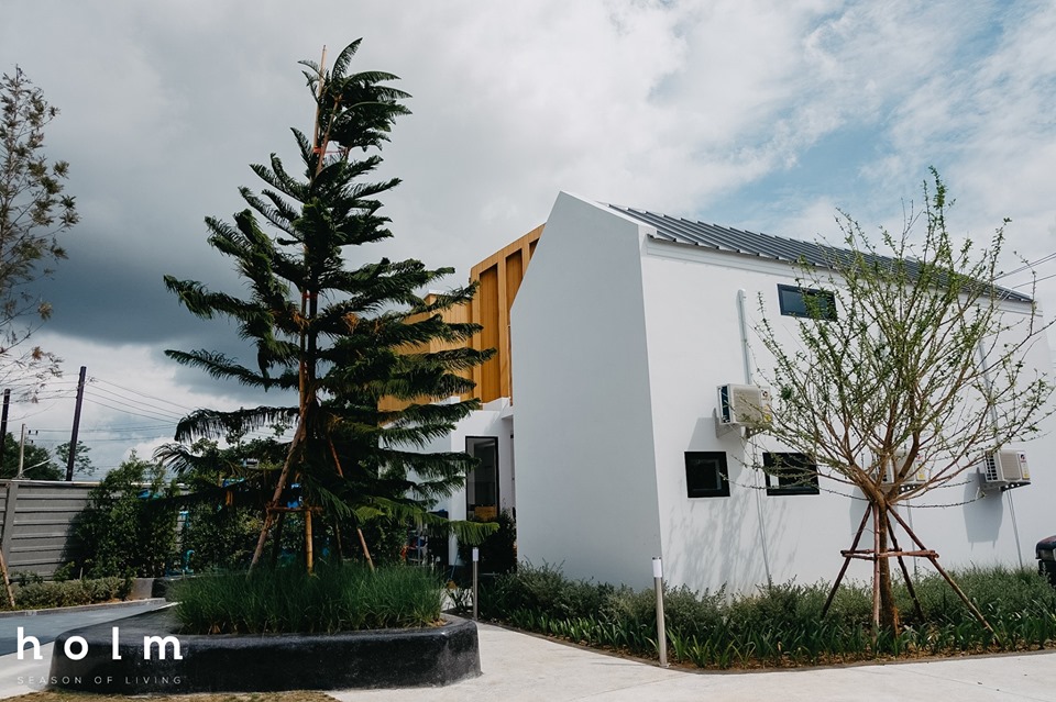 รูปภาพ โฮล์ม สันผีเสื้อ เชียงใหม่ (Holm)