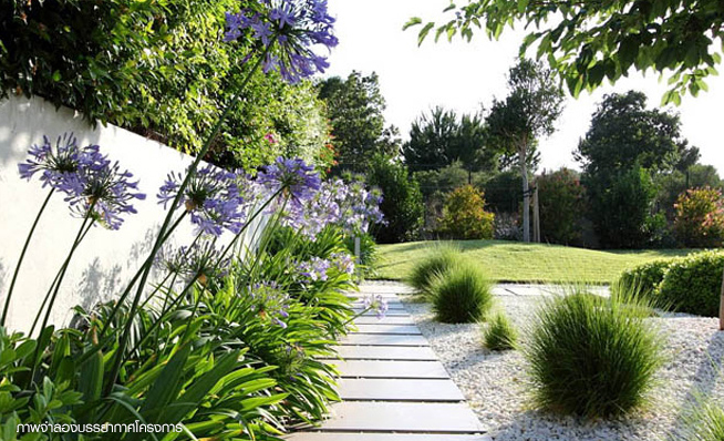 รูปภาพ ดีญ่า วาเลย์ หางดง - ทิพย์ภิรมย์ (Diya Valley Hangdong)