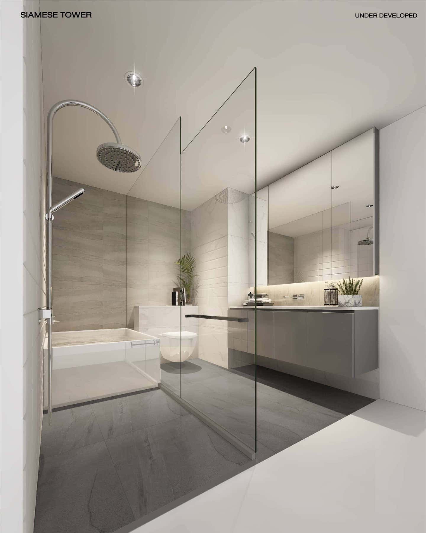 รูปภาพ ไซมิส พระราม 9 (Siamese Rama 9)