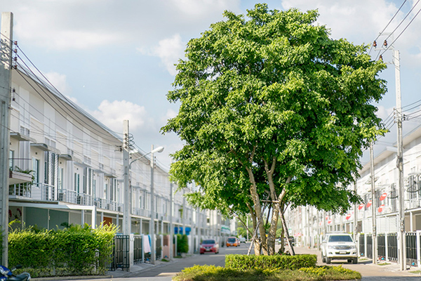 รูปภาพ อาร์เค พาร์ค รามอินทรา-ซาฟารี (RK Park Ramindra - Safari)