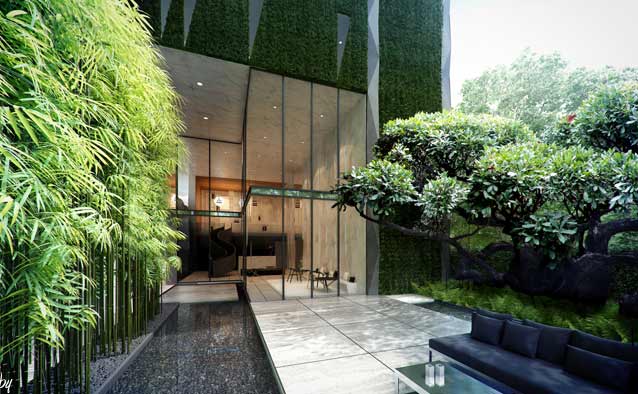 รูปภาพ ไซมิส ราชครู (Siamese RatchaKru)