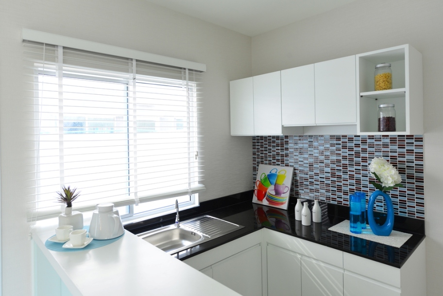 รูปภาพ พฤกษาวิลล์ 66 บางนา-หนามแดง (Pruksa Ville)