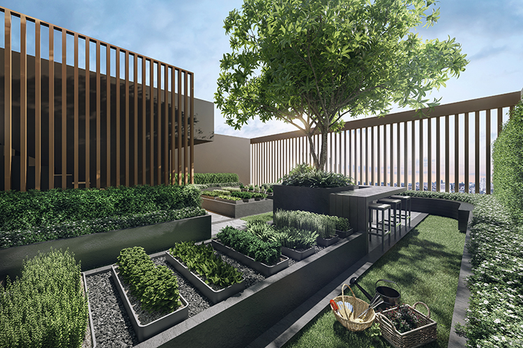 รูปภาพ นิว โนเบิล ไฟฉาย-วังหลัง (NUE NOBLE FAI CHAI-WANG LANG)