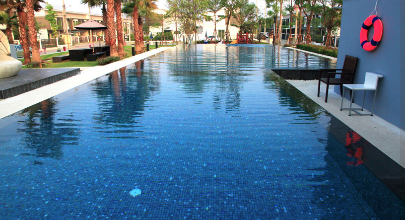 รูปภาพ อินดี้ ประชาอุทิศ (2) (Indy Prachauthit 2)