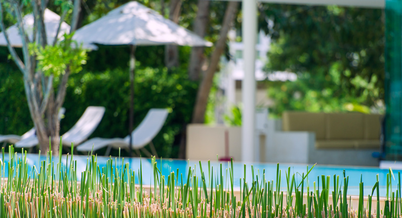 รูปภาพ พฤกษ์ลดา บางนา (Pruklada Bangna)