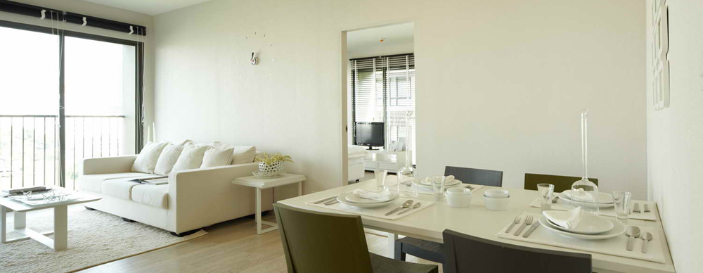 รูปภาพ โนเบิล โซโล (Noble Solo)