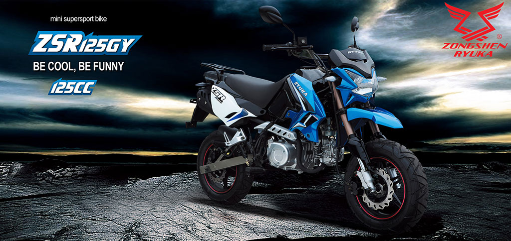 รูปภาพ จงเซิน ริวก้า Zongshen Ryuka ZSR (Standard) ปี 2014