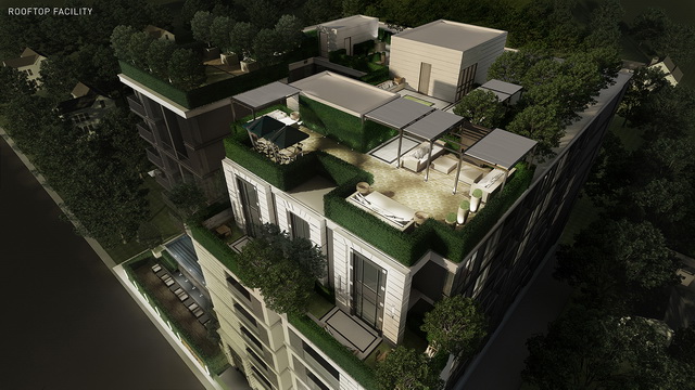 รูปภาพ มาเอสโตร 02 ร่วมฤดี (Maestro 02 Ruamrudee)