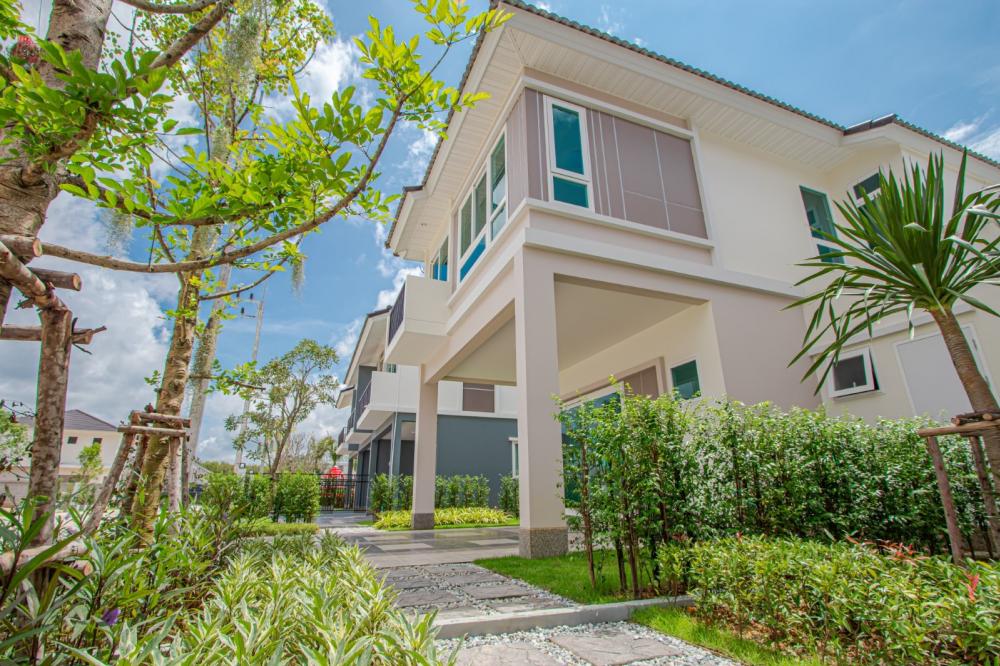 รูปภาพ ปาล์มสปริงส์ บลิส (Palmspring Blis)