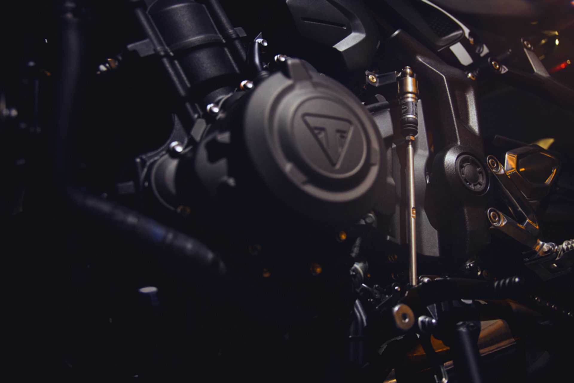 รูปภาพ ไทรอัมพ์ Triumph Trident 660 ปี 2025