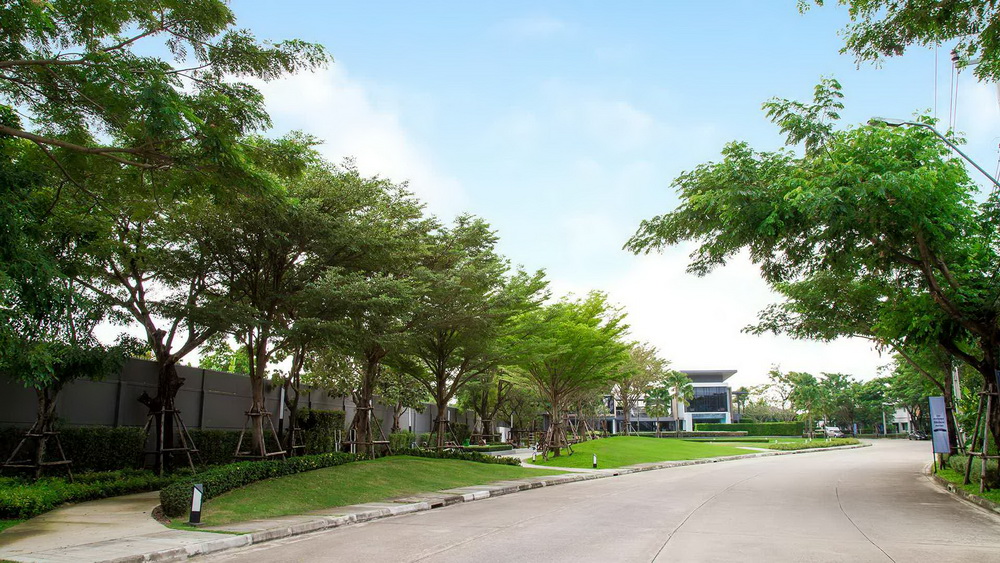 รูปภาพ ชัยพฤกษ์ ปิ่นเกล้า-กาญจนาฯ (Chaiyapruk Pinklao - Kanchanapisek)