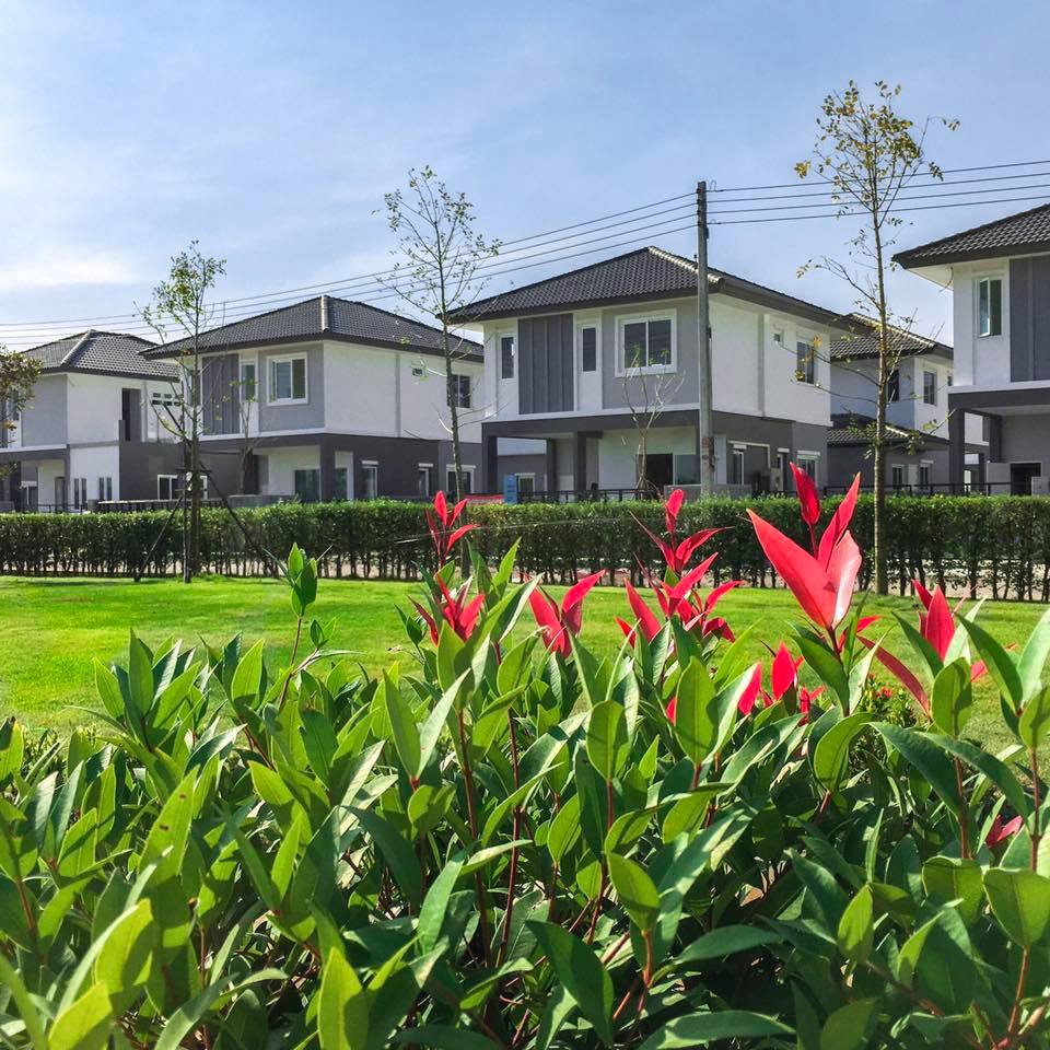 รูปภาพ บ้านฉัตรหลวง โครงการ 15 ซอยวัดบางเตยใน - สามโคก (Chatluang 15 Watbangtoeinai - Samcoke)