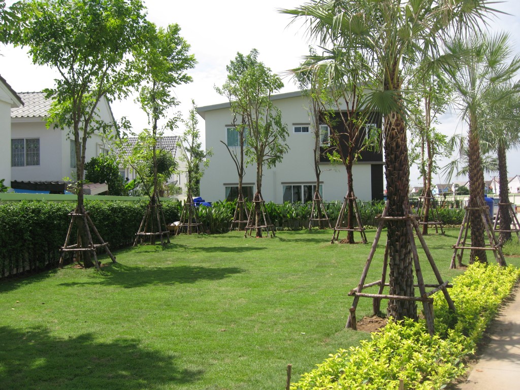 รูปภาพ บ้านราชพฤกษ์ ประตูน้ำพระอินทร์ เฟส 2 (Baan Ratchapruek Pratunam Pra-inn Phase 2)