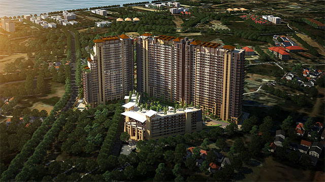 รูปภาพ ซาวันน่า แซนด์ (Savanna Sands)