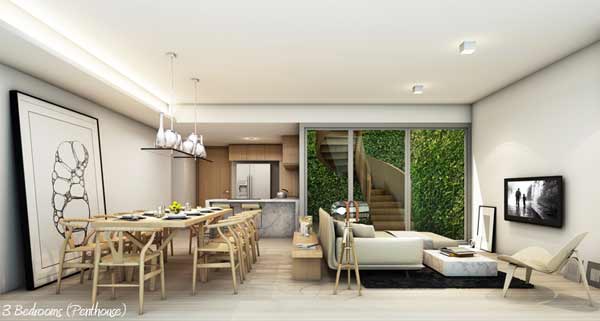 รูปภาพ ไซมิส ราชครู (Siamese RatchaKru)