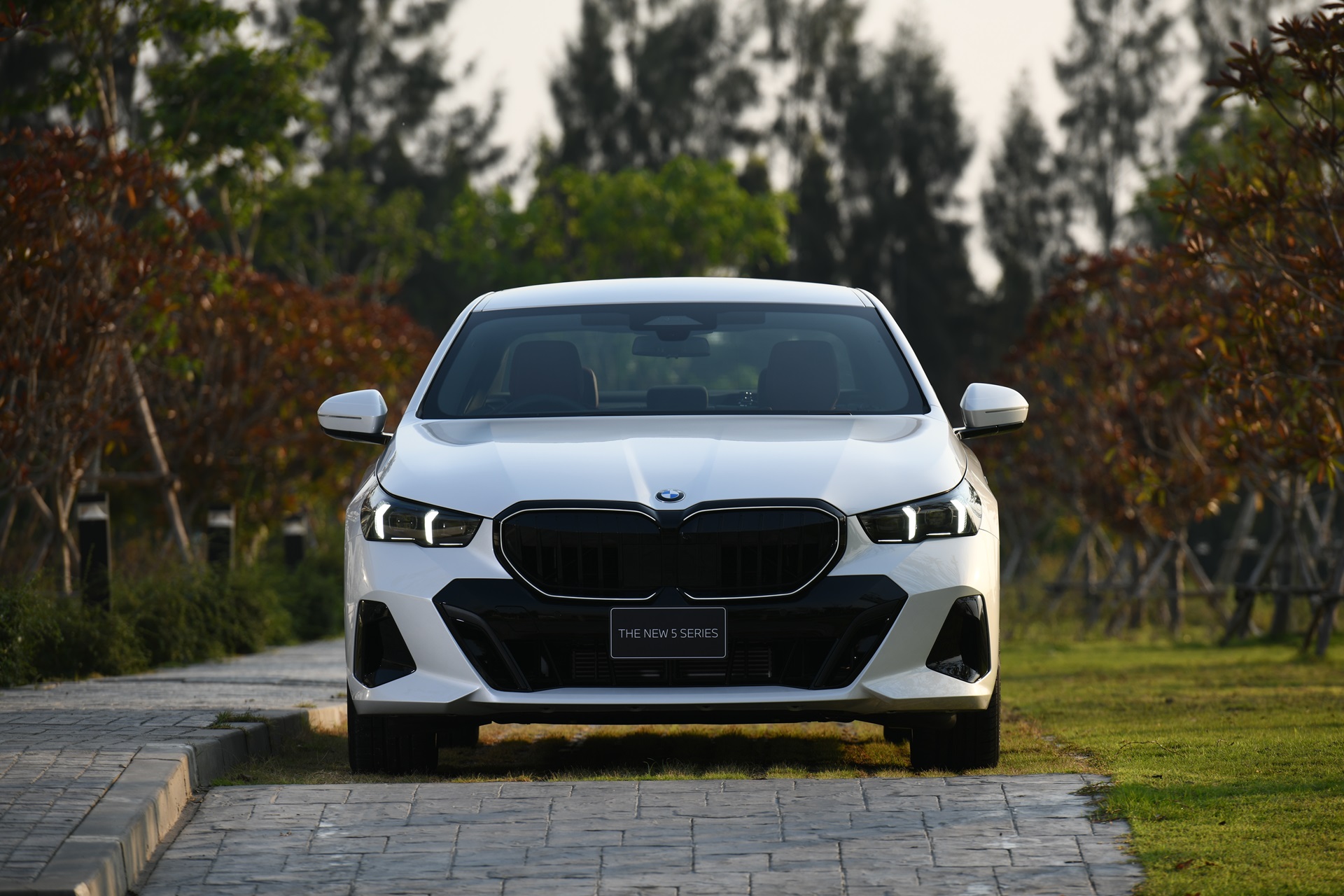 รูปภาพ บีเอ็มดับเบิลยู BMW Series 5 520d M Sport Pro ปี 2024