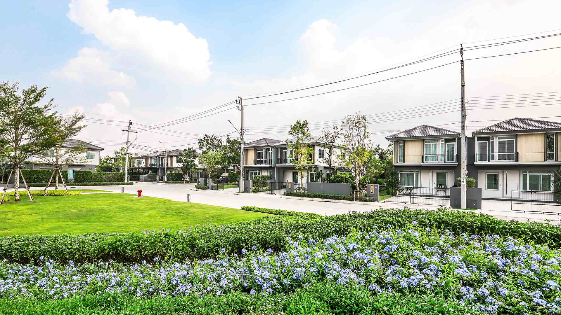 รูปภาพ อินนิซิโอ 3 ปิ่นเกล้า - วงแหวน (Inizio 3 Pinklao - Wongwaen)