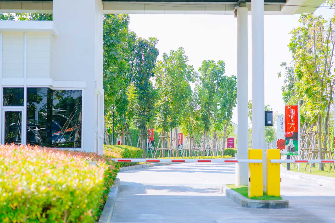 รูปภาพ แมกโนลีย์ ศรีราชา (Magnoli Sriracha)