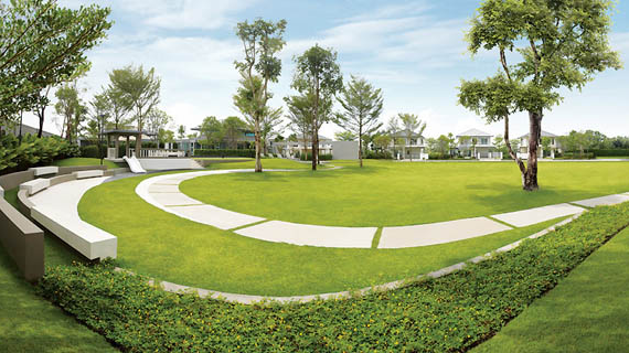 รูปภาพ เดอะปาล์มการ์เด้นท์ 6 (The Palm Graden 6)