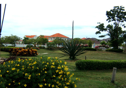 รูปภาพ ชวนชื่น บางนา (Chuan Chuen Bangna)