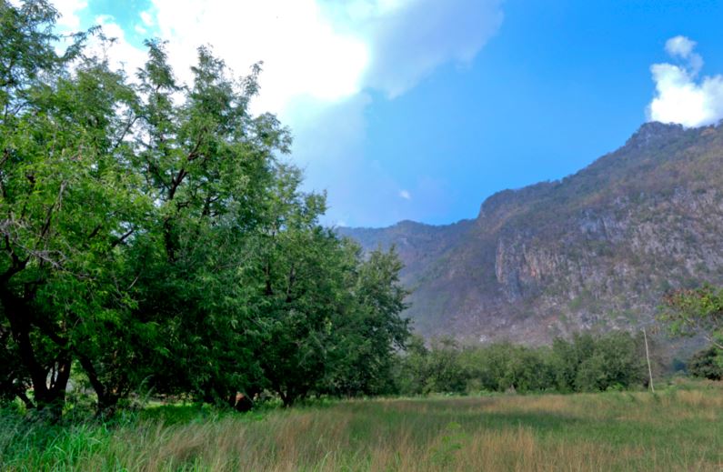 รูปภาพ วิลล่าโนวา เขาใหญ่ (Villanova Khaoyai)