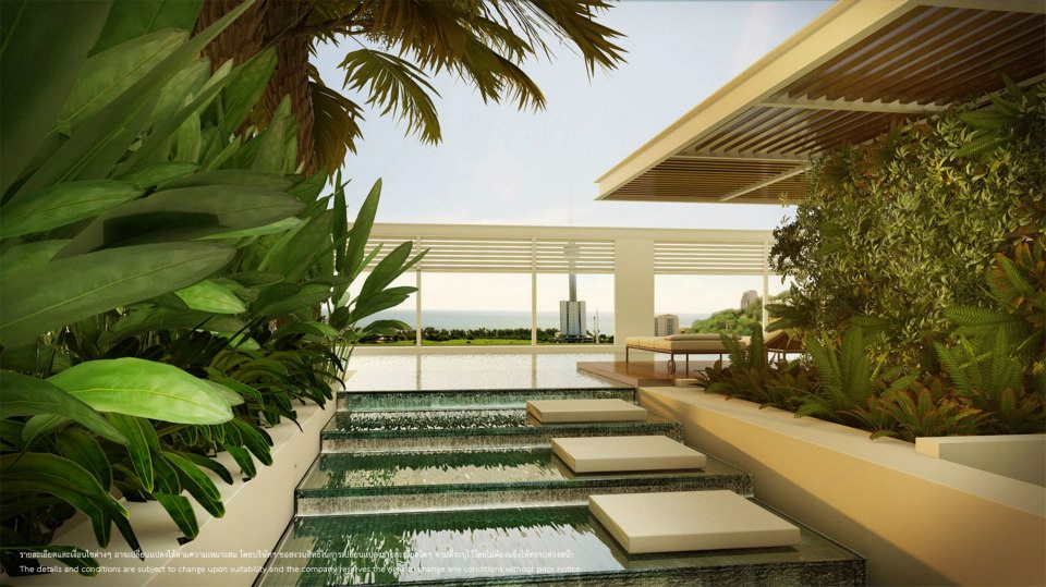 รูปภาพ ทรีท็อปส์  (Tree tops)